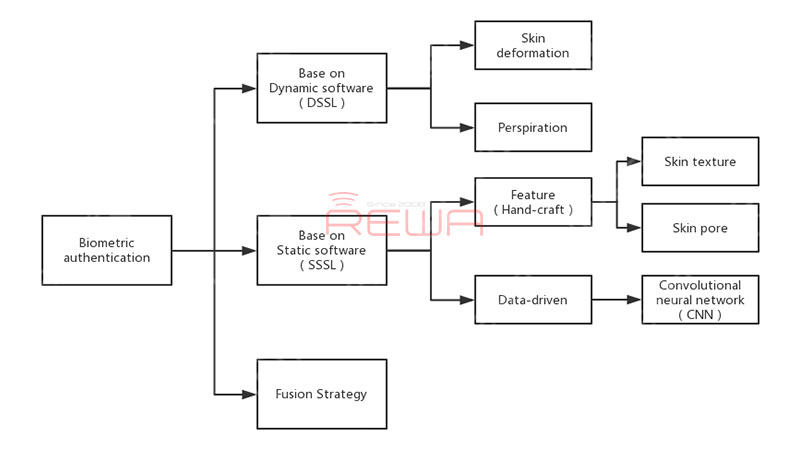 Software protection: feature point extraction algorithm 