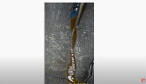 Repair Broken Fingerprint Flex Cable with Jumper Wires