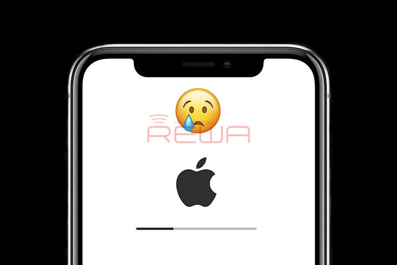 A Rare Case Of iPhone X Stuck On Apple Logo（iTunes Error 4013）